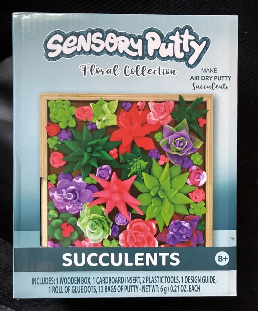 Sensory Putty Floral Collection Succulents Air Dry Putty Craft Kit